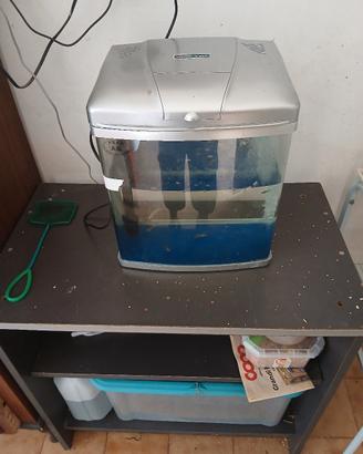 acquario piccolo 