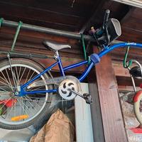 biroccio o cammellino