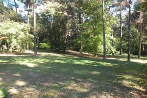 Terreno edificabile x boscoterapia