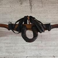 juale sardo antico per buoi