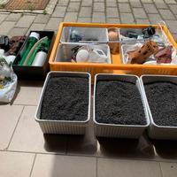 Materiale per allestimento Acquario