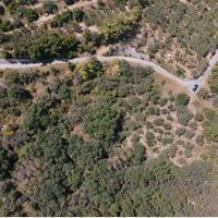 RGE 3/2024 Trib Barcellona PG - LOTTO 2