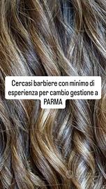 Barbiere junior o senior