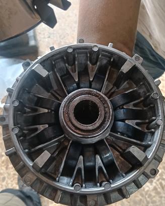 variatore Polini 12 rulli Tmax 500
