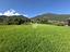 Immagine 10