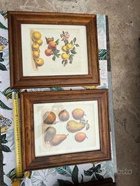 Set 2 quadretti in legno con frutti e cornice in l