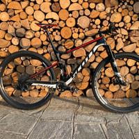 Scott spark rc 900 team