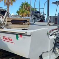 Barca Boston Whaler Montauk 17 + Yamaha 40 / 60 4t