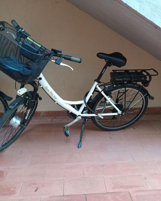 Bicicletta Elettrica a Pedalata Assistita