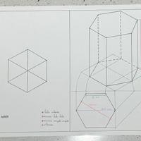 Voliera da esterno esagonale