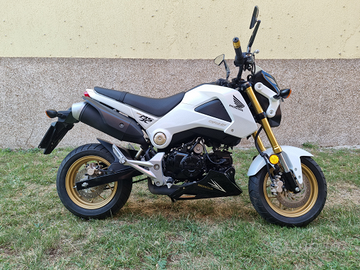 Honda msx 125 grom