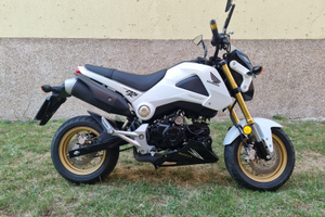 Honda msx 125 grom