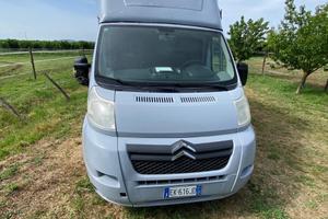 Van trasporto cavalli 2 posti