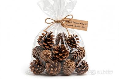 Pine Naturale 20 pz Miste- Decorazioni Natale