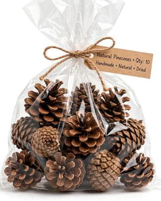 Pine Naturale 20 pz Miste- Decorazioni Natale