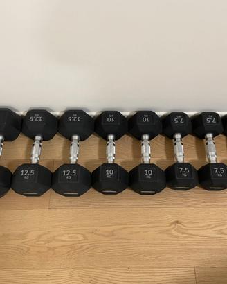 TechnoGym manubri esagonali - Hexagon Dumbbell
