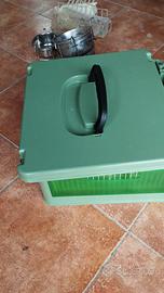 Pappagalli parrocchetti