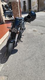 benelli leoncino 500