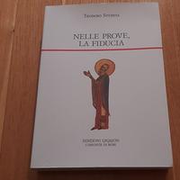 Nelle prove, la fiducia - Teodoro Studita