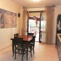 Centrale-Elegante-Spazio Aperto-Cane OK