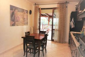 Centrale-Elegante-Spazio Aperto-Cane OK