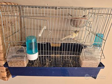 Tolgo perche non.ho tempo