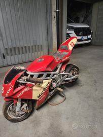 Mini Moto Ducati 