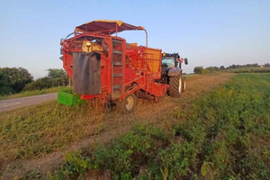 Macchina raccolta patate