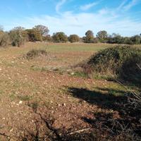 Terreno agricolo 2897 mq Gioia del Colle