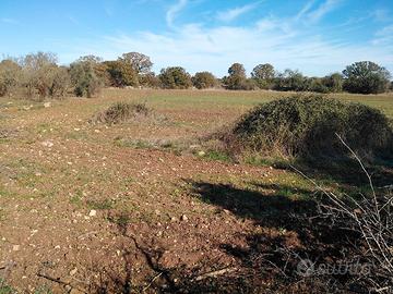 Terreno agricolo 2897 mq Gioia del Colle