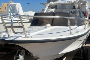 BARCA CON MOTORE BENZINA YAMAHA 40cv 4T