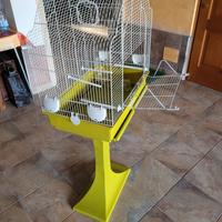 gabbia per volatili