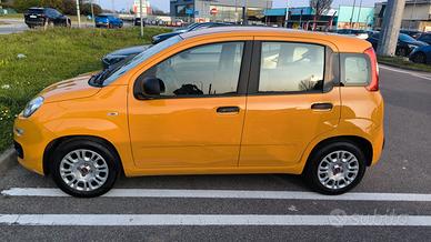 PRIVATO VENDE A COMO PANDA IBRIDA