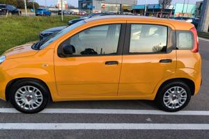 PRIVATO VENDE A COMO PANDA IBRIDA