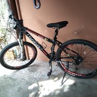 Mountain bike