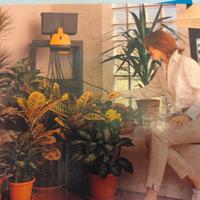 sistema d'irrigazione  per vasi