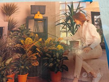 sistema d'irrigazione  per vasi