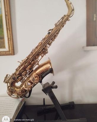 sax contralto sunrise