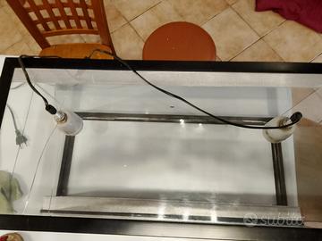 terrario per rettili