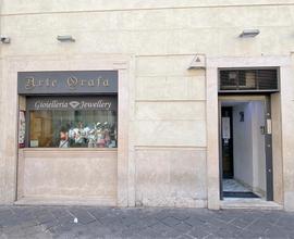 ATTIVITÀ A ROMA