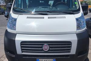 Fiat ducato 9 posti