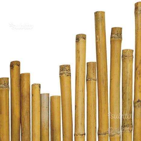 CANNE DI BAMBOO PER TUTORAGGIO