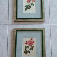 Quadretti con stampe botaniche vintage di rose
