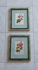 Quadretti con stampe botaniche vintage di rose
