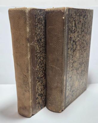Libro Antico Summa Philosophica Maria Zigliara XIX