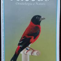 Alcedo anno 2009 rivista