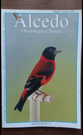 Alcedo anno 2009 rivista