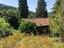 Immagine 11