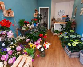 Negozio di fiori e piante al dettaglio