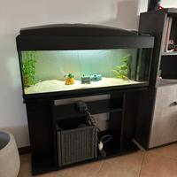 Acquario 180 litri petcompany
